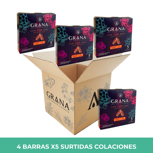 Pack 4 Barra Low Carb Berries x5