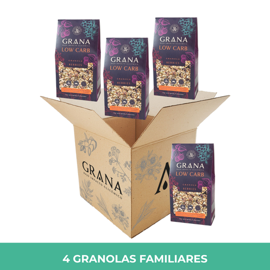 Pack 4 Granola Low Carb Berries 260 grs